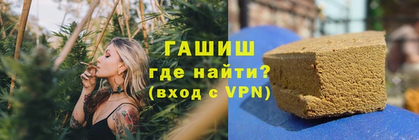 индика Алзамай