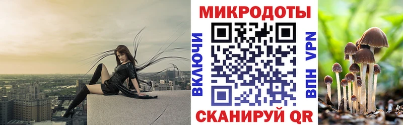 Псилоцибиновые грибы мухоморы  блэк спрут вход  Покачи 